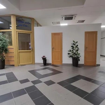 Rada Ostrava